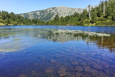 Balık Vasilashko Gölü, Pirin Dağı ile muhteşem manzara,