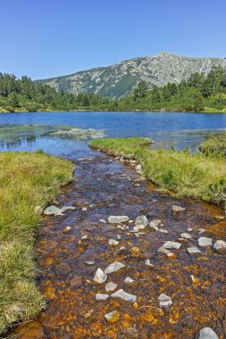 Balık Vasilashko Gölü, Pirin Dağı ile muhteşem manzara,