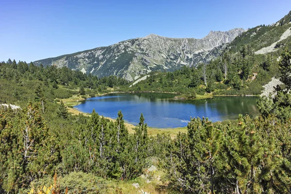 Amazing Landscape Dengan Danau Fish Vasilashko Pirin Mountain — Stok Foto