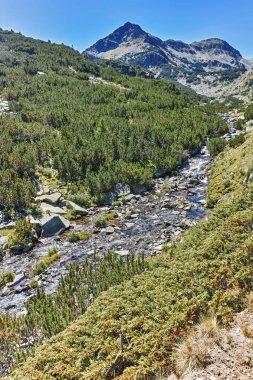 Valyavitsa Nehri ve Valyavishki Kınalı tepe, Pirin Dağı, Bulgaristan ile muhteşem manzara