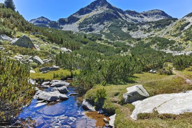 Valyavitsa Nehri ve Valyavishki Kınalı tepe, Pirin Dağı, Bulgaristan ile muhteşem manzara