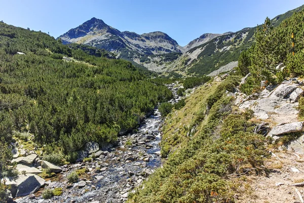 Úžasná Krajina Řekou Valyavitsa Valyavishki Chukar Peak Pohoří Pirin Bulharsko — Stock fotografie