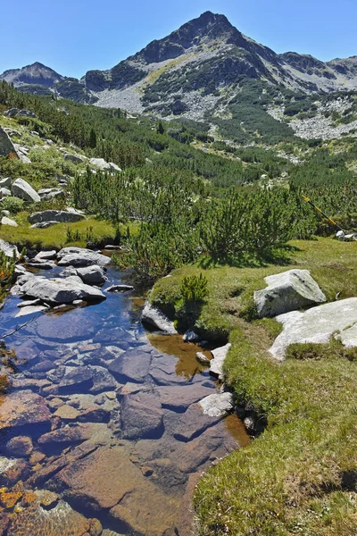 Erstaunliche Landschaft Mit Valjavitsa Fluss Und Valyavishki Chukar Gipfel Pirin — Stockfoto