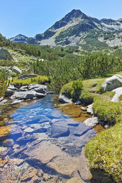 Niesamowity Krajobraz Rzeką Valyavitsa Valyavishki Chukar Szczyt Góry Pirin Bułgaria — Zdjęcie stockowe