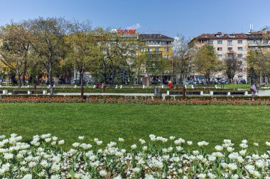 Sofia, Bulgaristan-14 Nisan 2018: Sofya, Bulgaristan Ulusal Kültür Sarayı önünde parkta çiçekleri