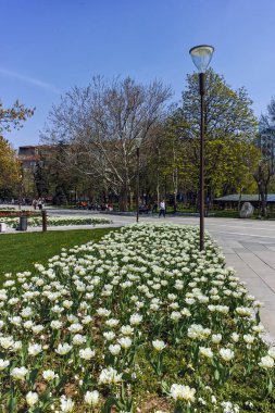 Sofia, Bulgaristan-14 Nisan 2018: Sofya, Bulgaristan Ulusal Kültür Sarayı önünde parkta çiçekleri