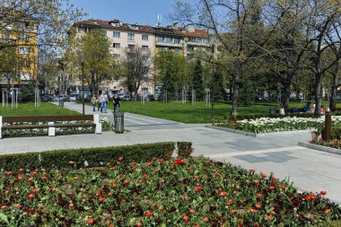 Sofia, Bulgaristan-14 Nisan 2018: Sofya, Bulgaristan Ulusal Kültür Sarayı önünde parkta çiçekleri