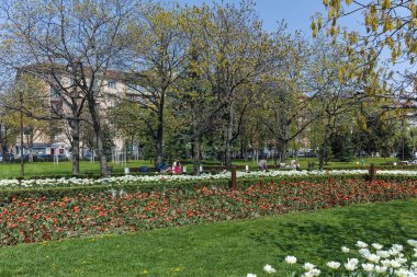 Sofia, Bulgaristan-14 Nisan 2018: Sofya, Bulgaristan Ulusal Kültür Sarayı önünde parkta çiçekleri