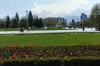 Sofia, Bulgaristan-14 Nisan 2018: Sofya, Bulgaristan Ulusal Kültür Sarayı önünde parkta çiçekleri