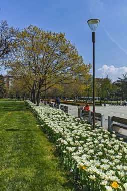 Sofia, Bulgaristan-14 Nisan 2018: Sofya, Bulgaristan Ulusal Kültür Sarayı önünde parkta çiçekleri