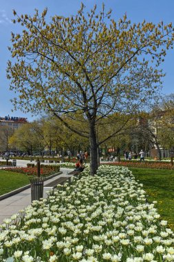 Sofia, Bulgaristan-14 Nisan 2018: Sofya, Bulgaristan Ulusal Kültür Sarayı önünde parkta çiçekleri