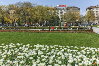 Sofia, Bulgaristan-14 Nisan 2018: Sofya, Bulgaristan Ulusal Kültür Sarayı önünde parkta çiçekleri