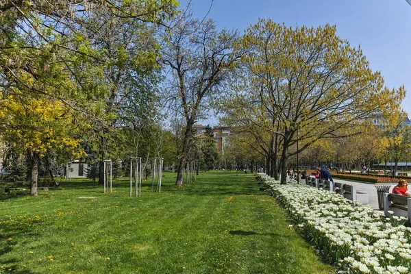 Sofia Bulgaria April 2018 Flowers Park Front National Palace Culture — Stock Photo, Image