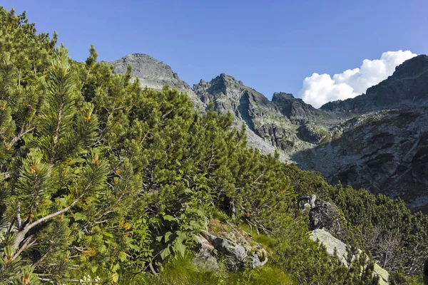 Landschaft von orlovets Gipfel, rila Gebirge, Bulgarien — Stockfoto