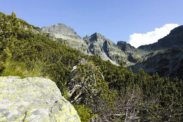 オルロヴェッツのピーク、リラ山、ブルガリアの風景 — ストック写真