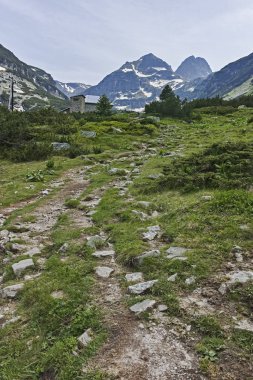 Şaşırtıcı sonbahar manzara Cherna Gora (Karadağ) Dağı, Pernik bölge, Bulgaristan