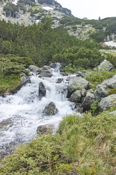 Pemandangan Musim Gugur Yang Menakjubkan Gunung Cherna Gora Monte Negro — Stok Foto