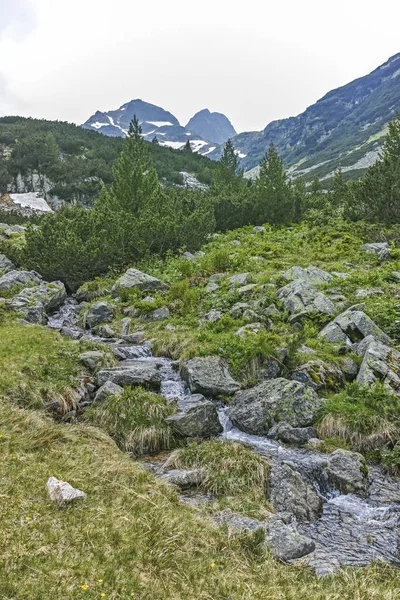 Geweldige Herfst Landschap Van Berg Van Cherna Gora Monte Negro — Stockfoto