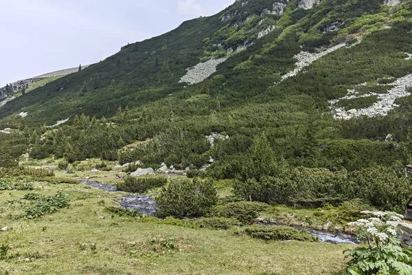 Дивовижні Осінній Пейзаж Гори Черна Гура Чорногорія Pernik Область Болгарія — стокове фото