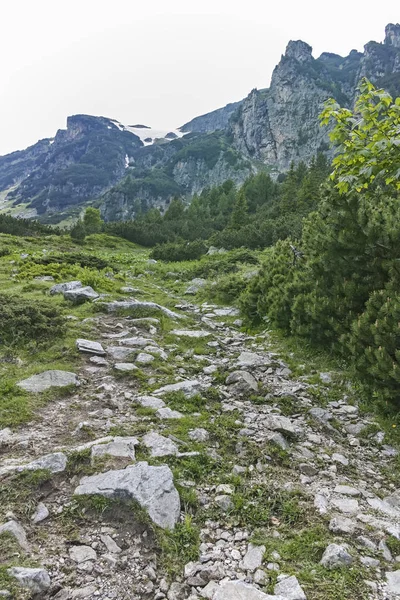 Incredibile Paesaggio Autunnale Cherna Gora Monte Negro Montagna Regione Pernik — Foto Stock