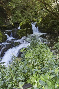 Iskar Vadisi ve küçük şelale Vazova patikasında, Balkan Dağı