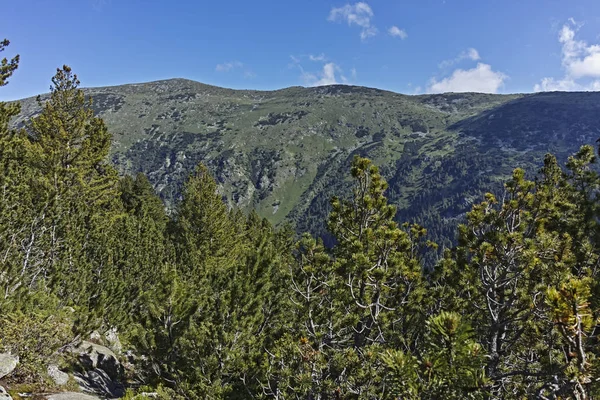 Paisaje del sendero para el apestoso lago desde la zona de Tiha Rila (Q —  Fotos de Stock