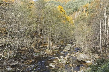 Devin nehri geçidinde, Rodop Dağları 'nda mücadele var.