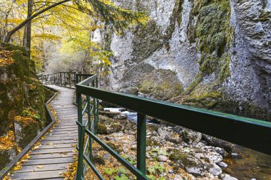 Devin nehri geçidinde, Rodop Dağları 'nda mücadele var.