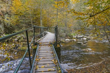 Devin nehri geçidinde, Rodop Dağları 'nda mücadele var.