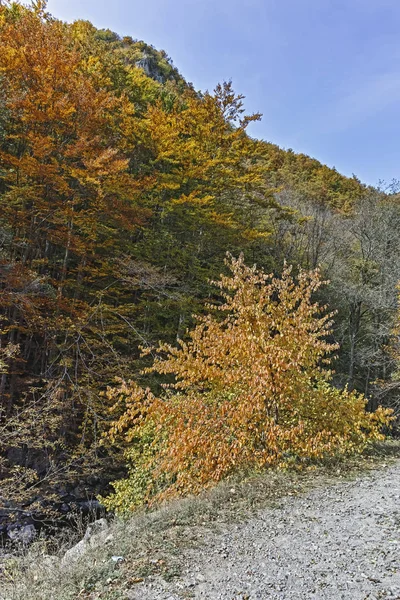 Struilitsa eco path at Devin river gorge, Rhodope Mountains — Stock Photo, Image