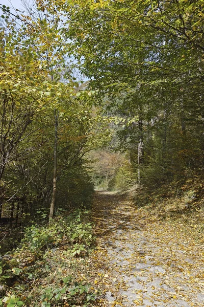 Struilitsa sentier écologique à Devin gorge de la rivière, Rhodopes — Photo