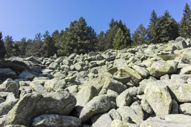 Bulgaristan 'ın Vitosha Dağı' nda Moraine ile manzara