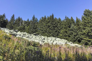 Bulgaristan 'ın Vitosha Dağı' nda Moraine ile manzara