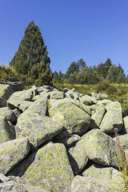 Bulgaristan 'ın Vitosha Dağı' nda Moraine ile manzara