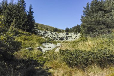 Bulgaristan 'ın Vitosha Dağı' nda Moraine ile manzara