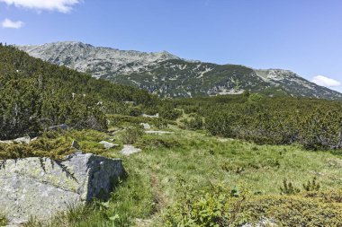 Balık Gölü yakınlarındaki manzara (Ribni Ezera), Rila dağı
