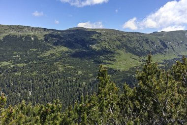 Balık Gölü yakınlarındaki manzara (Ribni Ezera), Rila dağı
