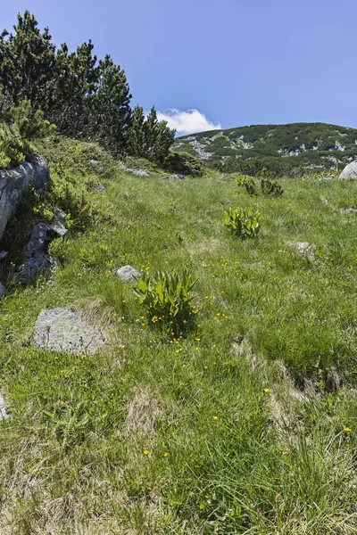 Paisaje cerca de los Lagos de los Peces (Ribni Ezera), Montaña Rila —  Fotos de Stock