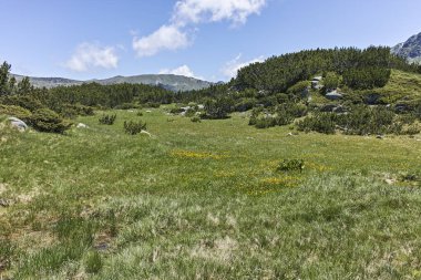 Landscape with near The Fish, Rila mountain, Bulgaria