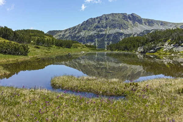 Malá jezera poblíž rybích jezer, pohoří Rila, Bulharsko — Stock fotografie