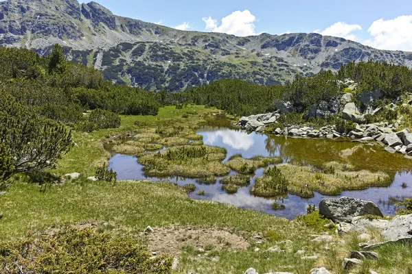 Malá jezera poblíž rybích jezer, pohoří Rila, Bulharsko — Stock fotografie