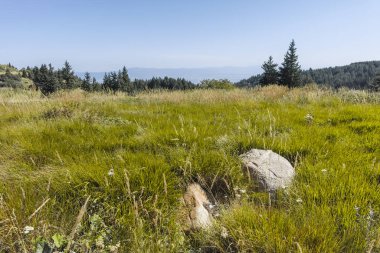 Bulgaristan 'ın Vitosha Dağı' nın sonbahar manzarası