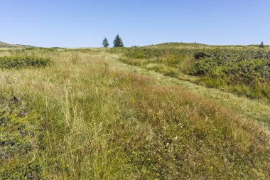 Bulgaristan 'ın Vitosha Dağı' nın sonbahar manzarası