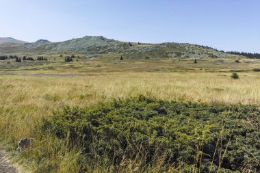 Bulgaristan 'ın Vitosha Dağı' nın sonbahar manzarası