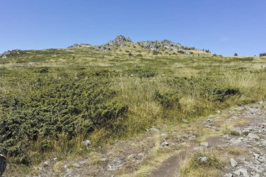 Bulgaristan 'ın Vitosha Dağı' nın sonbahar manzarası