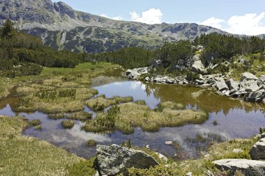 The Fish Lakes, Rila Dağı, Bulgaristan yakınlarındaki küçük göllü yaz manzarası