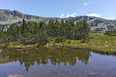 The Fish Lakes, Rila Dağı, Bulgaristan yakınlarındaki küçük göllü yaz manzarası