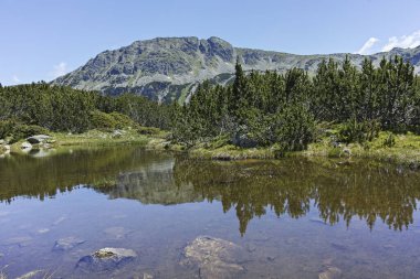 The Fish Lakes, Rila Dağı, Bulgaristan yakınlarındaki küçük göllü yaz manzarası