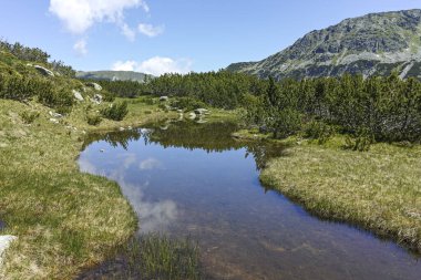 The Fish Lakes, Rila Dağı, Bulgaristan yakınlarındaki küçük göllü yaz manzarası
