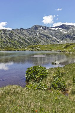The Fish Lakes, Rila Dağı, Bulgaristan yakınlarındaki küçük göllü yaz manzarası